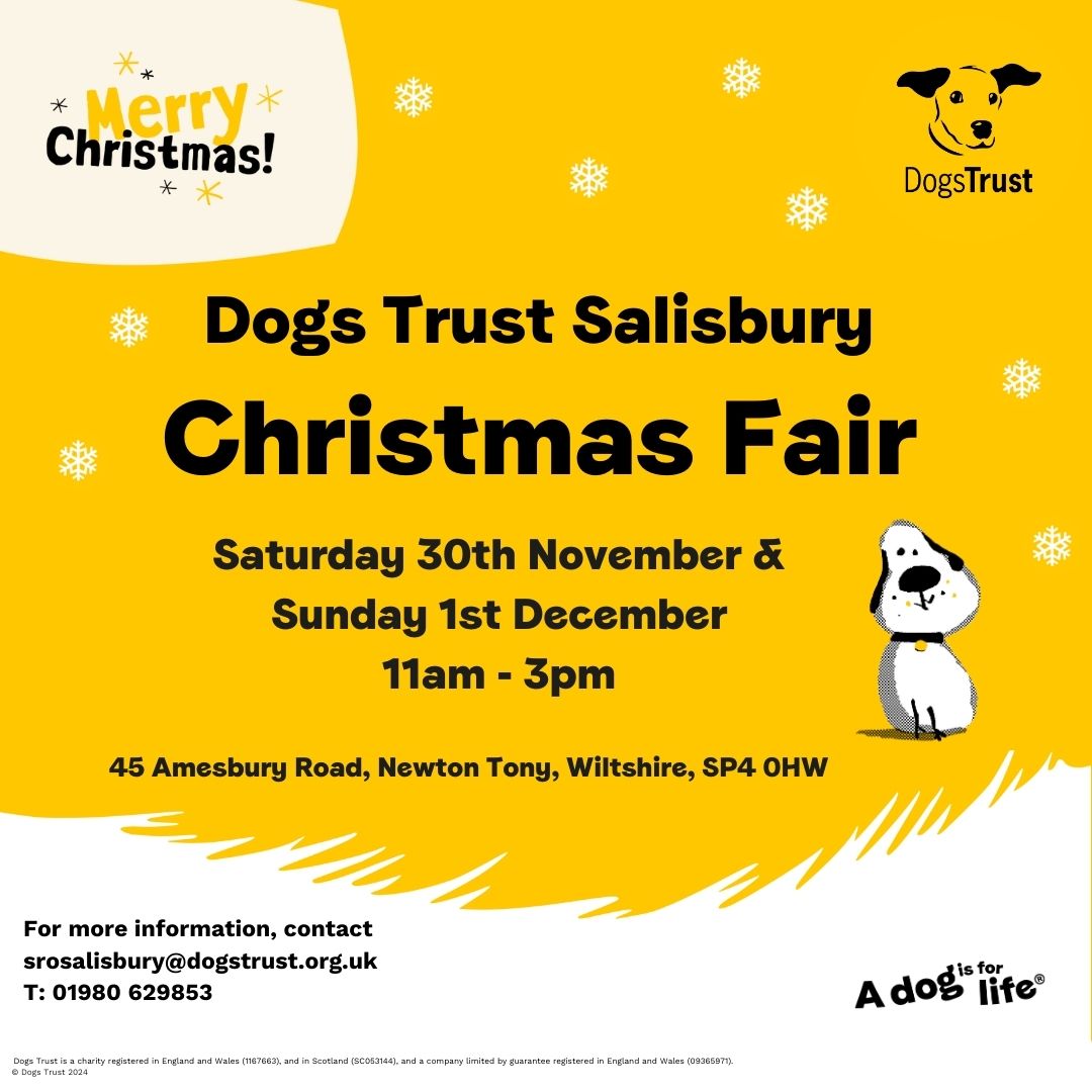 Dogs Trust Salisbury tweet media