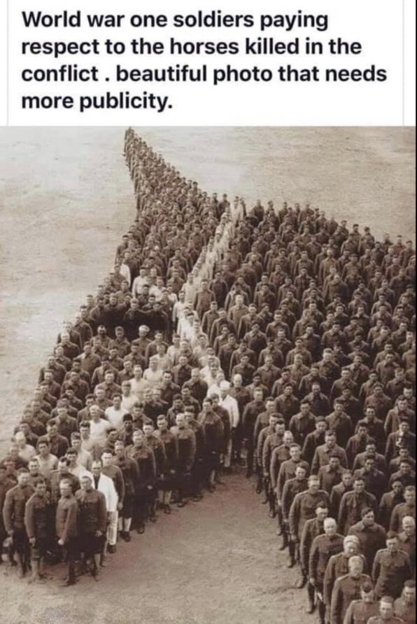 Such a powerful picture! 💜🏴󠁧󠁢󠁷󠁬󠁳󠁿💜