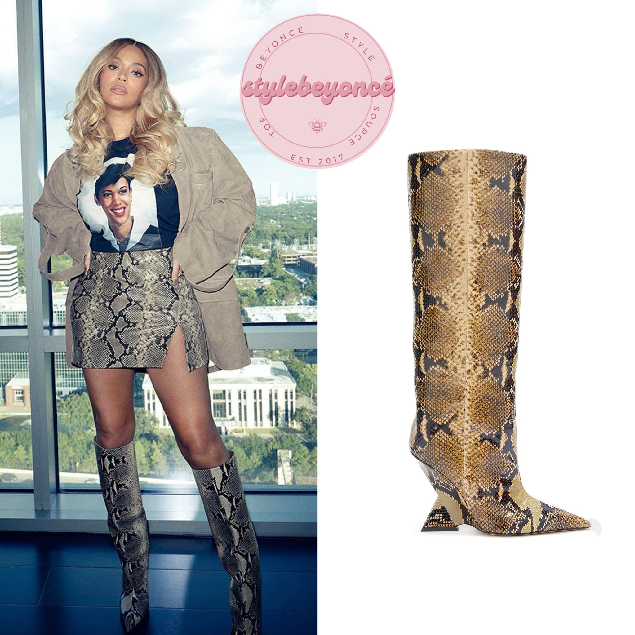 Reptiles Beyonce PETA Slams Beyonce For Wearing Leather, Iguana And