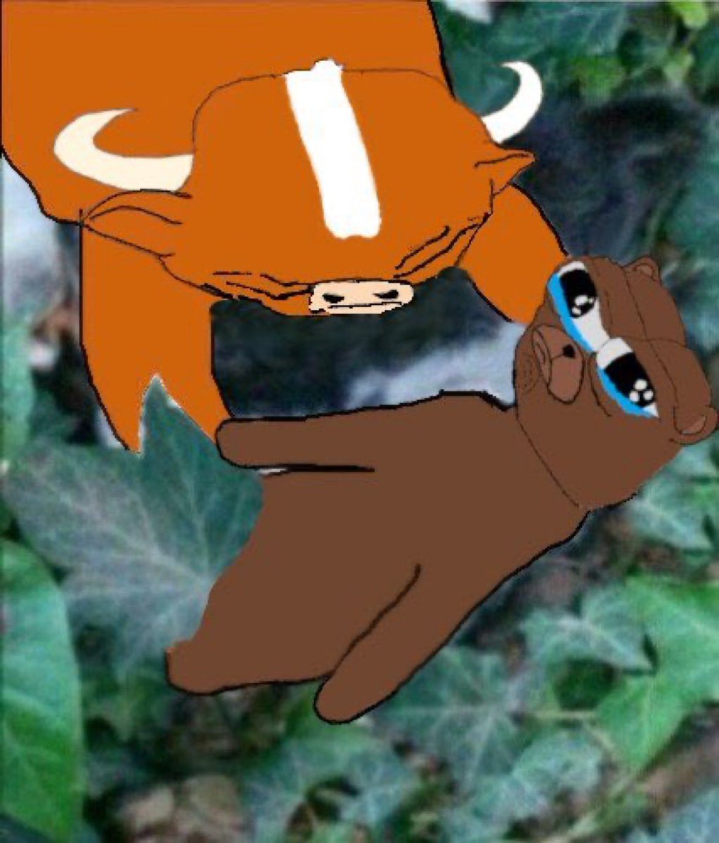 🐧 Pentoshi (@pentosh1) on Twitter photo 