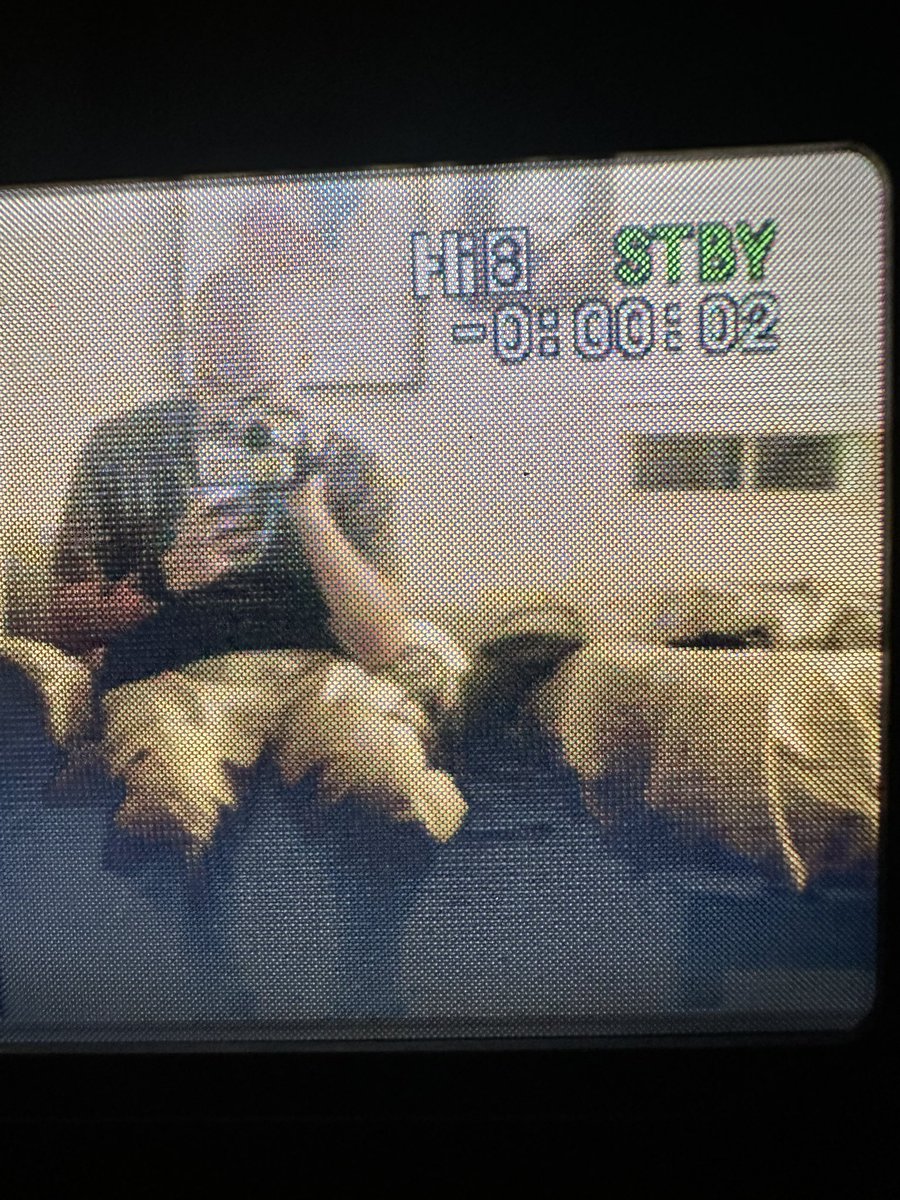 Sleeparalysis/ tweet media