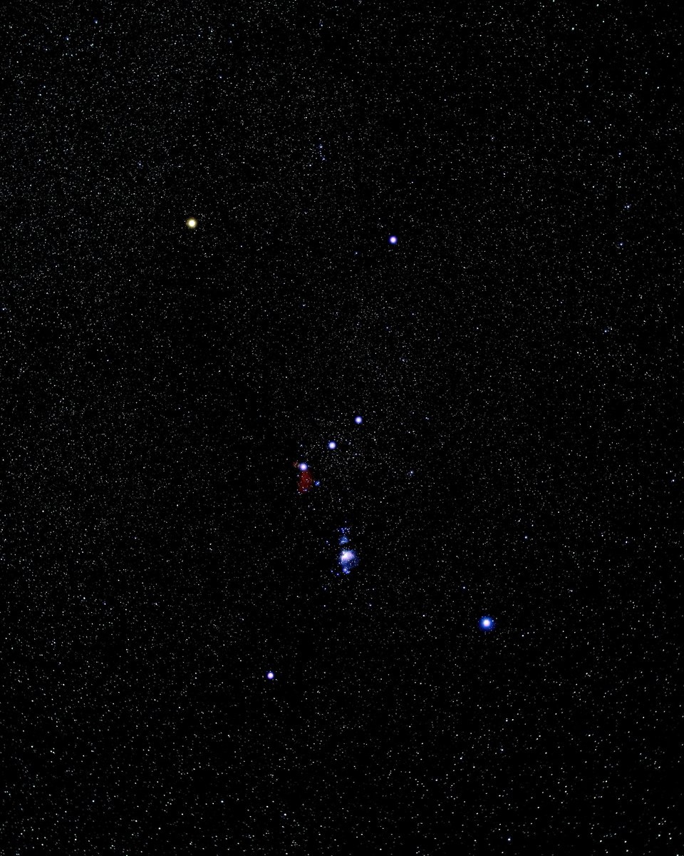Orion
