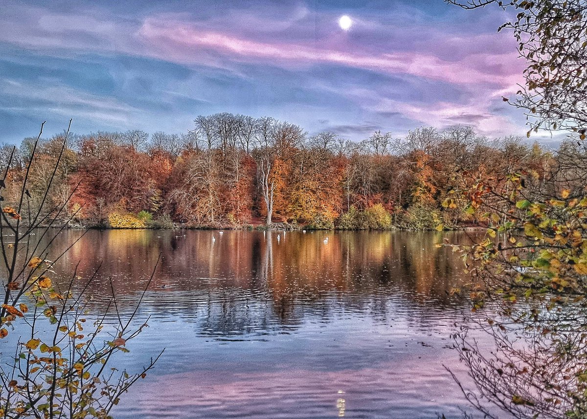 Des fleurs au fusil (@fleurs_au_fusil) on Twitter photo 