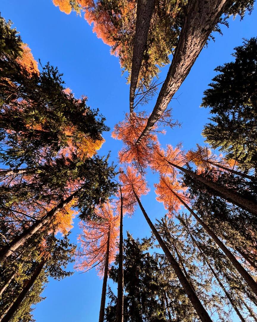 Maranza instagr.am/p/DCM1Nb5Os7K/