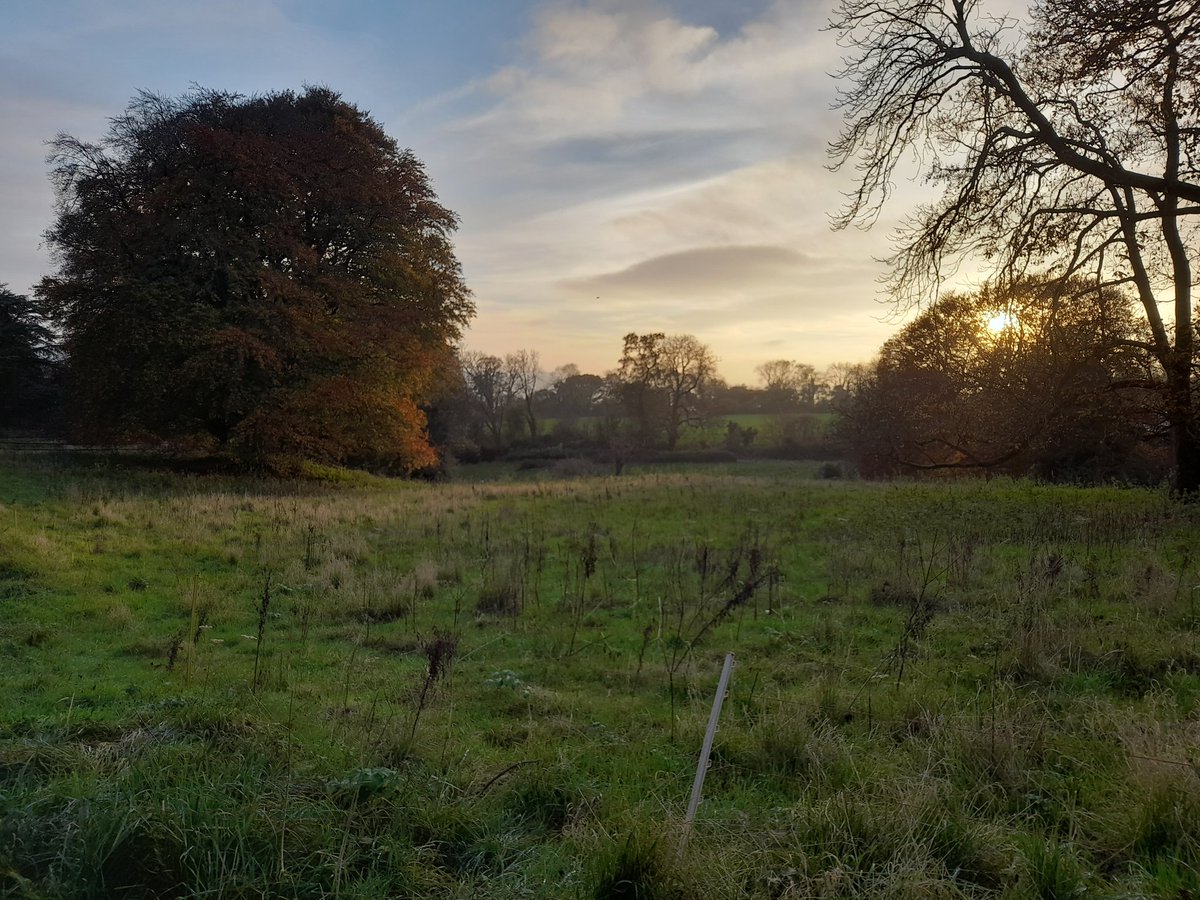 ClaireMears90's tweet photo. @liamdutton This was the first time I had seen the sun in what feels like forever! (Taken at Tynesfield, North Somerset) https://t.co/Ugdnsyr846