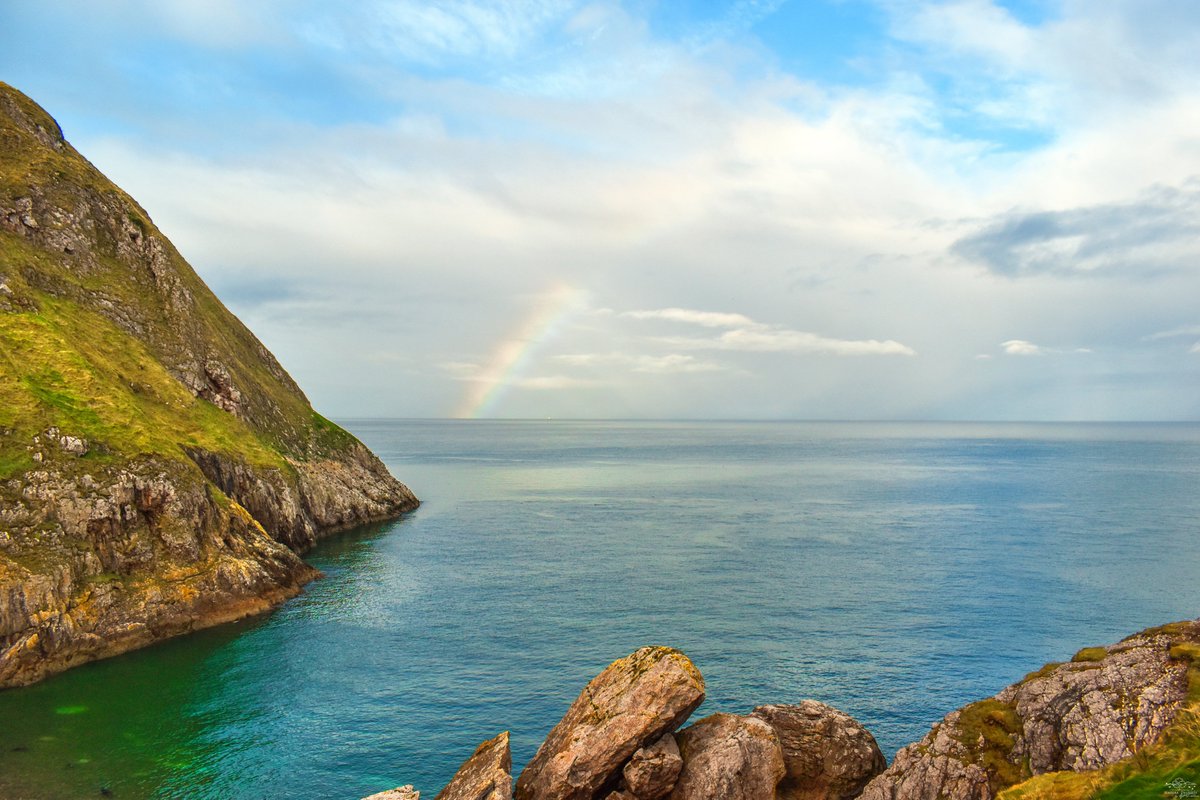 Nature Delights tweet media