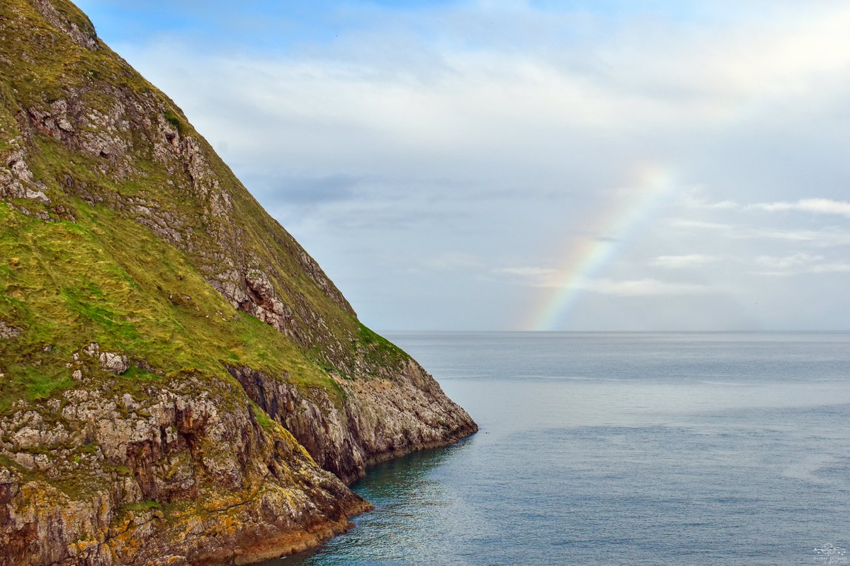 Nature Delights tweet media