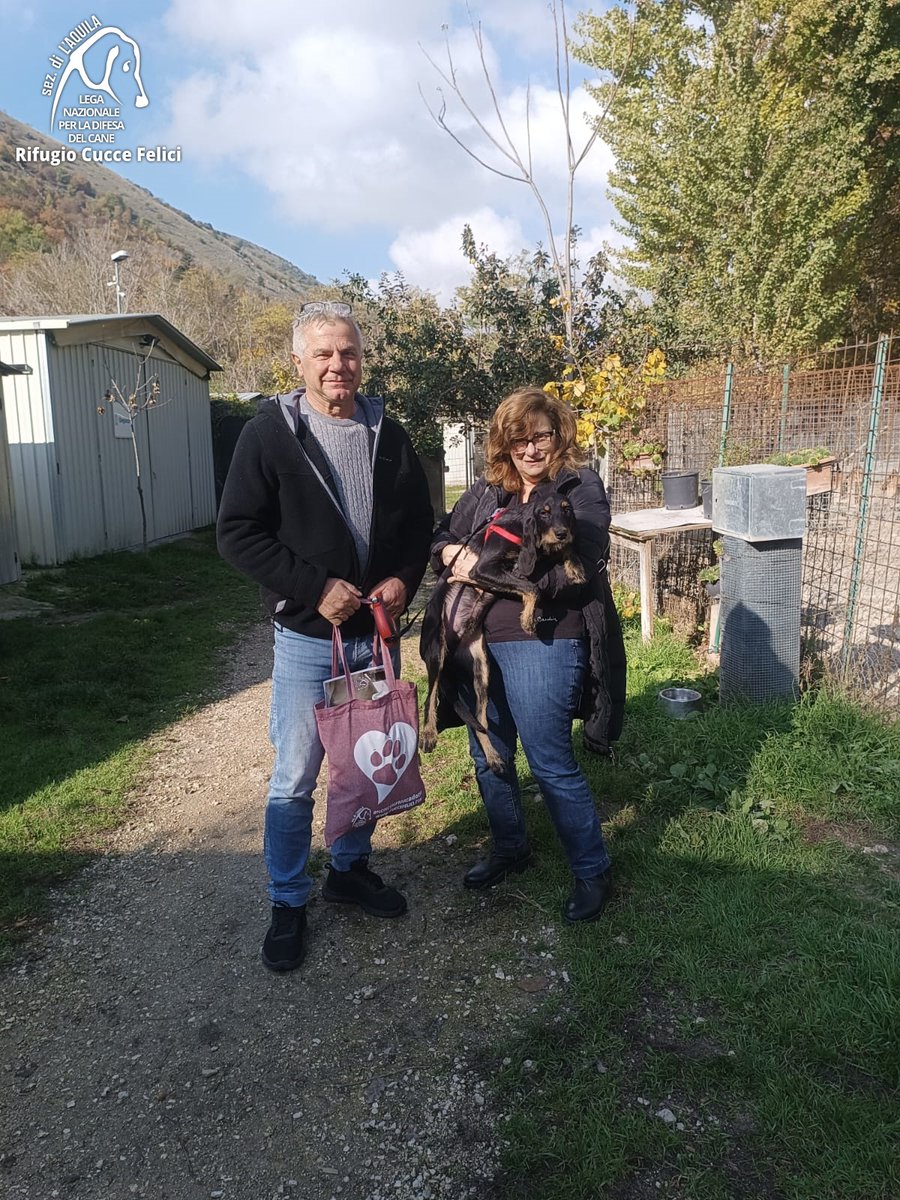 cuccefelici's tweet photo. Omar, meraviglia dalle lunghe orecchie, va a casa.
Grazie a Vittoria e alla sua famiglia per aver scelto di adottare in #canile.
Arricchisci la tua vita: adotta! https://t.co/shZ2uj2VLo #adottaincanile #LAquila #Abruzzo #segugio #adottaunsegugio #LegadelCane https://t.co/dNRyvrHwDh