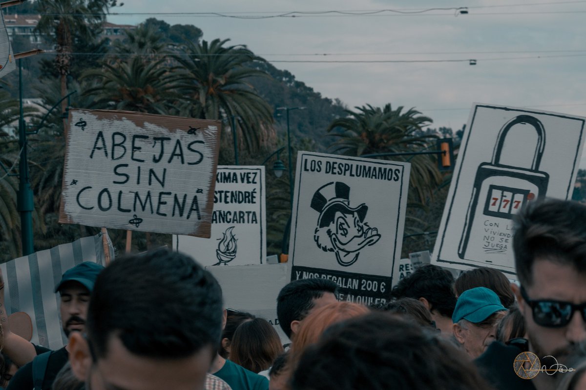 BarriosMalaga's tweet photo. "ABEJAS SIN COLMENA"
#Malaga❤️ #09N💪 https://t.co/NSfRpdySDu