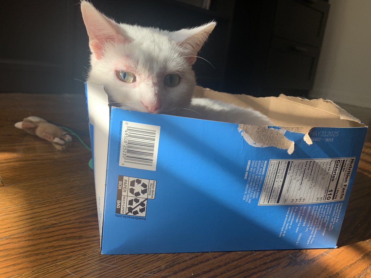 Osu16Bit's tweet image. 🐈📦