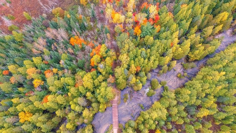 Visit Charlevoix tweet media