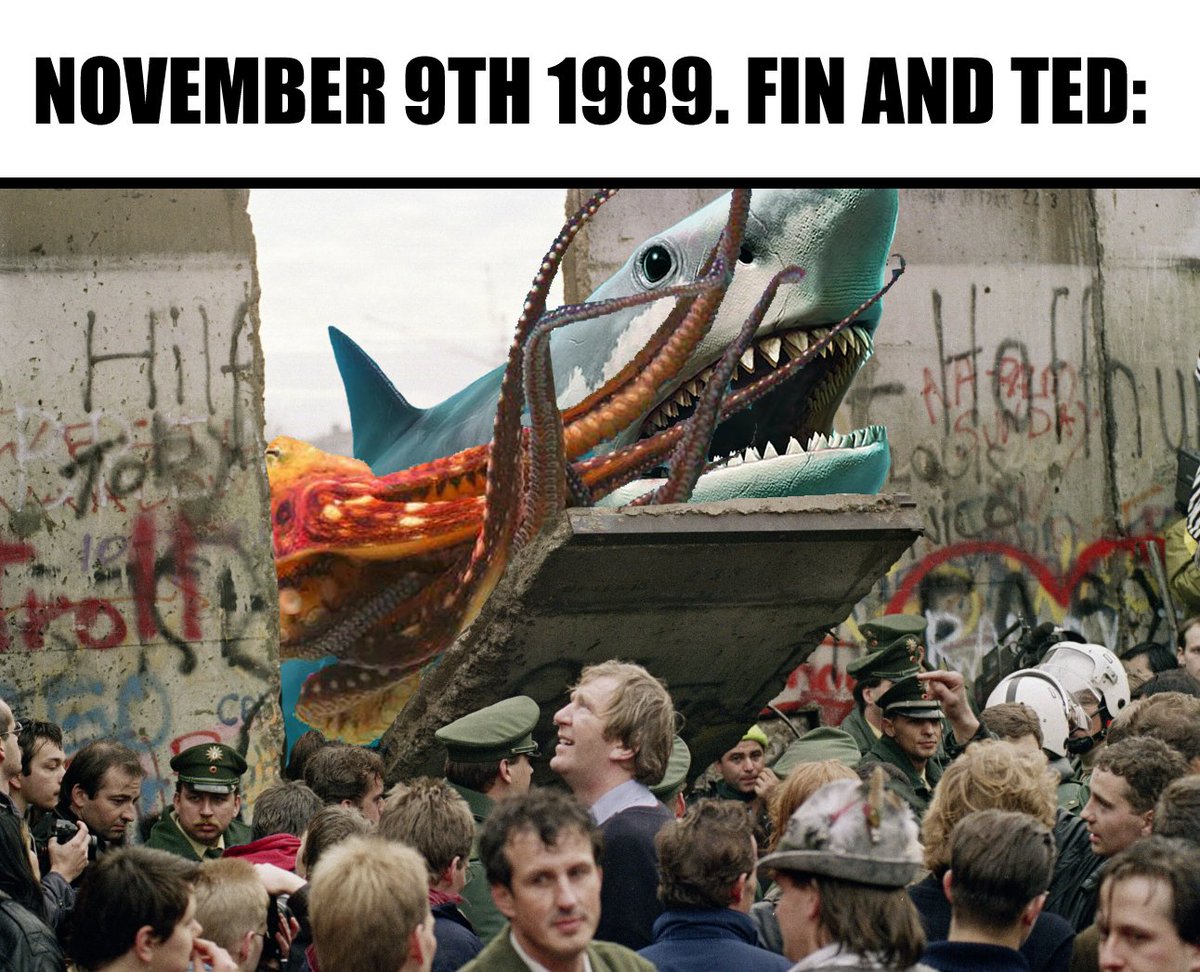 DoppleGORKer's tweet photo. @FinTheSharkXRPL Found an old photo of those two!! #FINMEME $FIN #XRPCommunity #XRPLedger Let's go! lol ๐๐ฆพ https://t.co/a9WWpTzSns