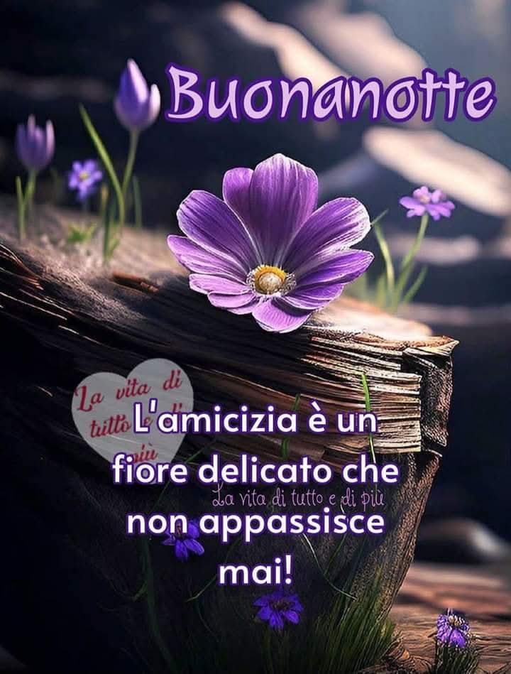 Marianna tweet media