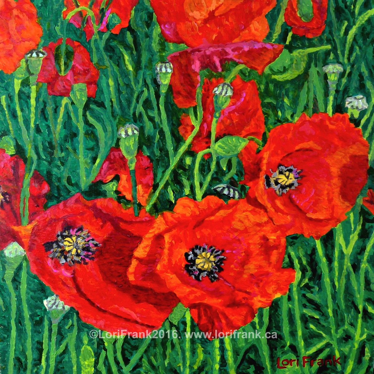 This is Crimson Glory. It was created to honour those that paid the ultimate sacrifice for our freedom. Lest We Forget.