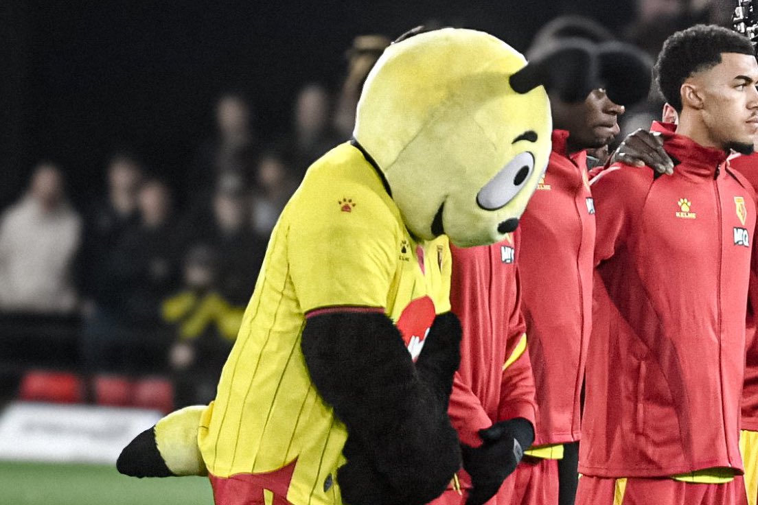 Mascots Minute Silence (@mascotsilence) on Twitter photo 