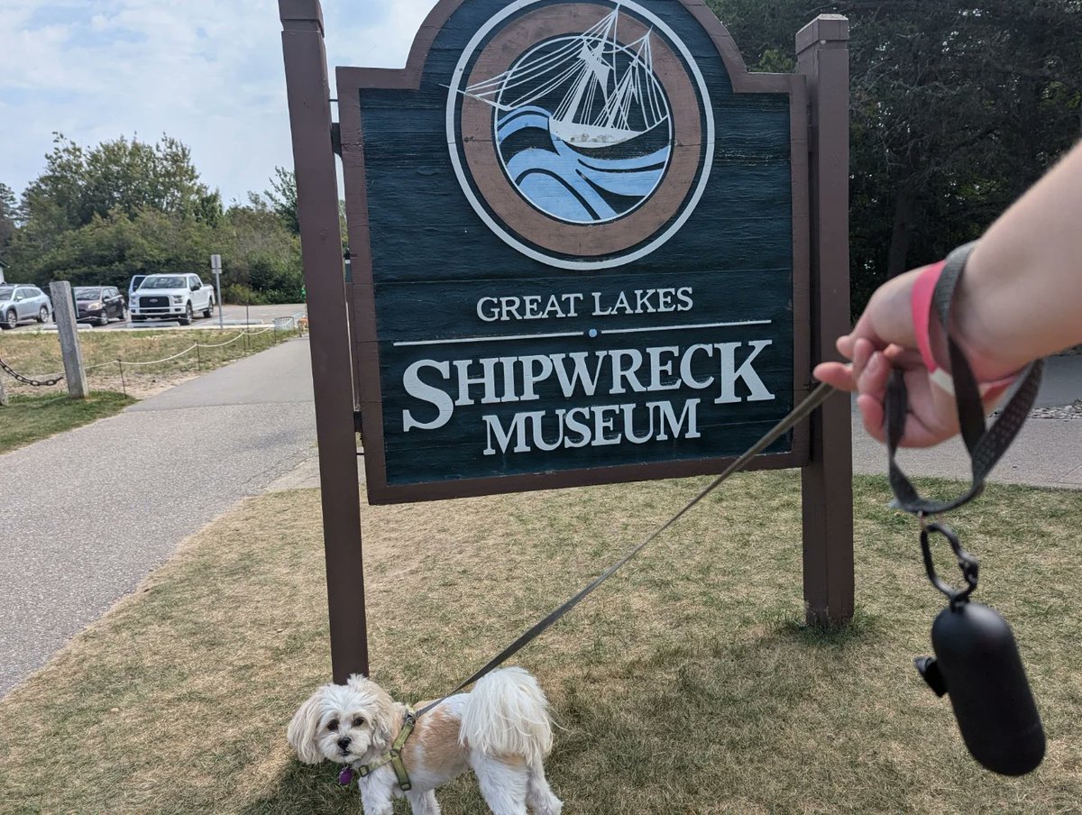 Snuggle Beast tweet media