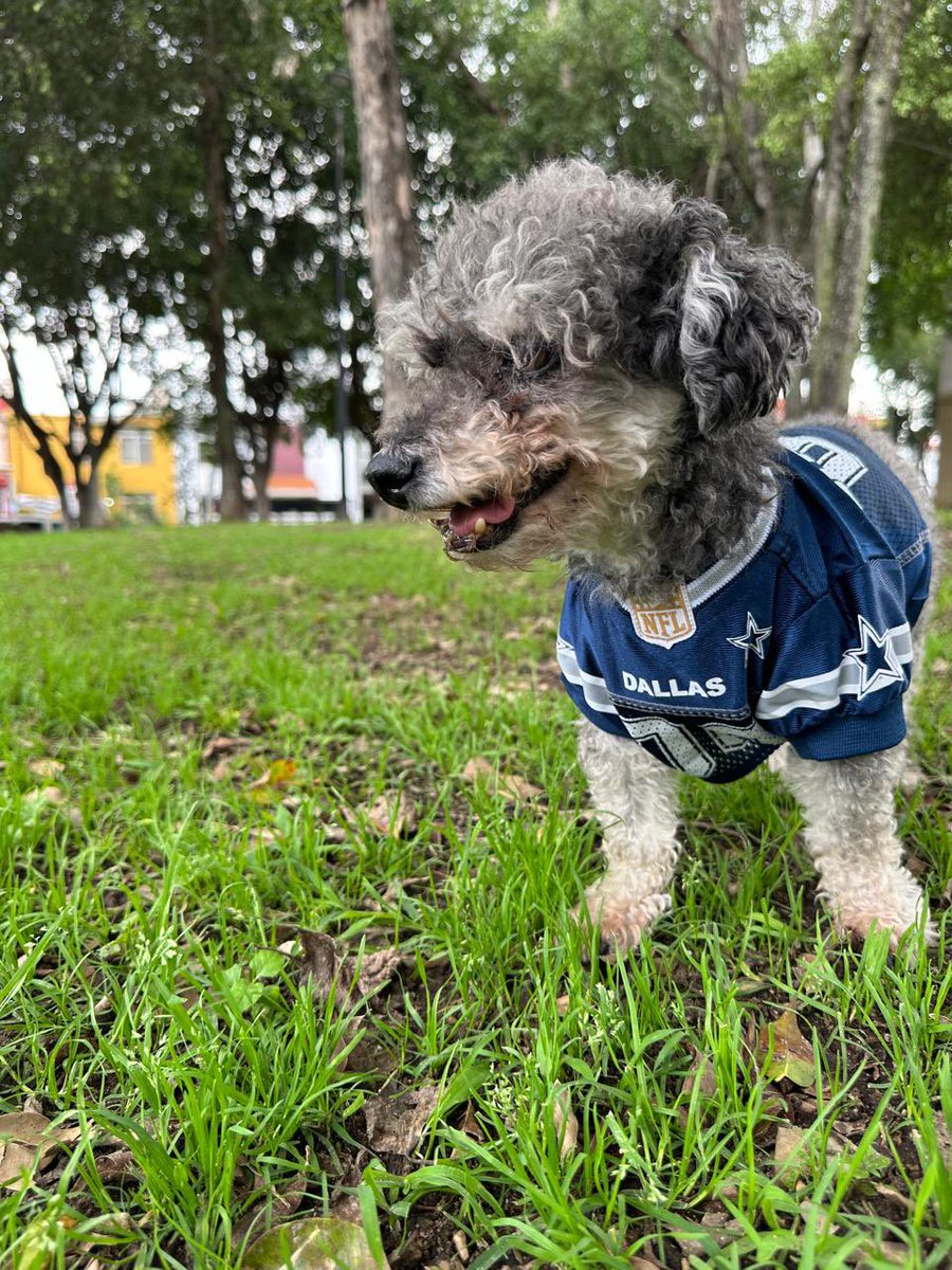 vesoog's tweet photo. @Zona_TUDN #NFLEnTelevisa

Apoyando a los vaqueros y extrañando a Koko https://t.co/9TJZYOoeQZ