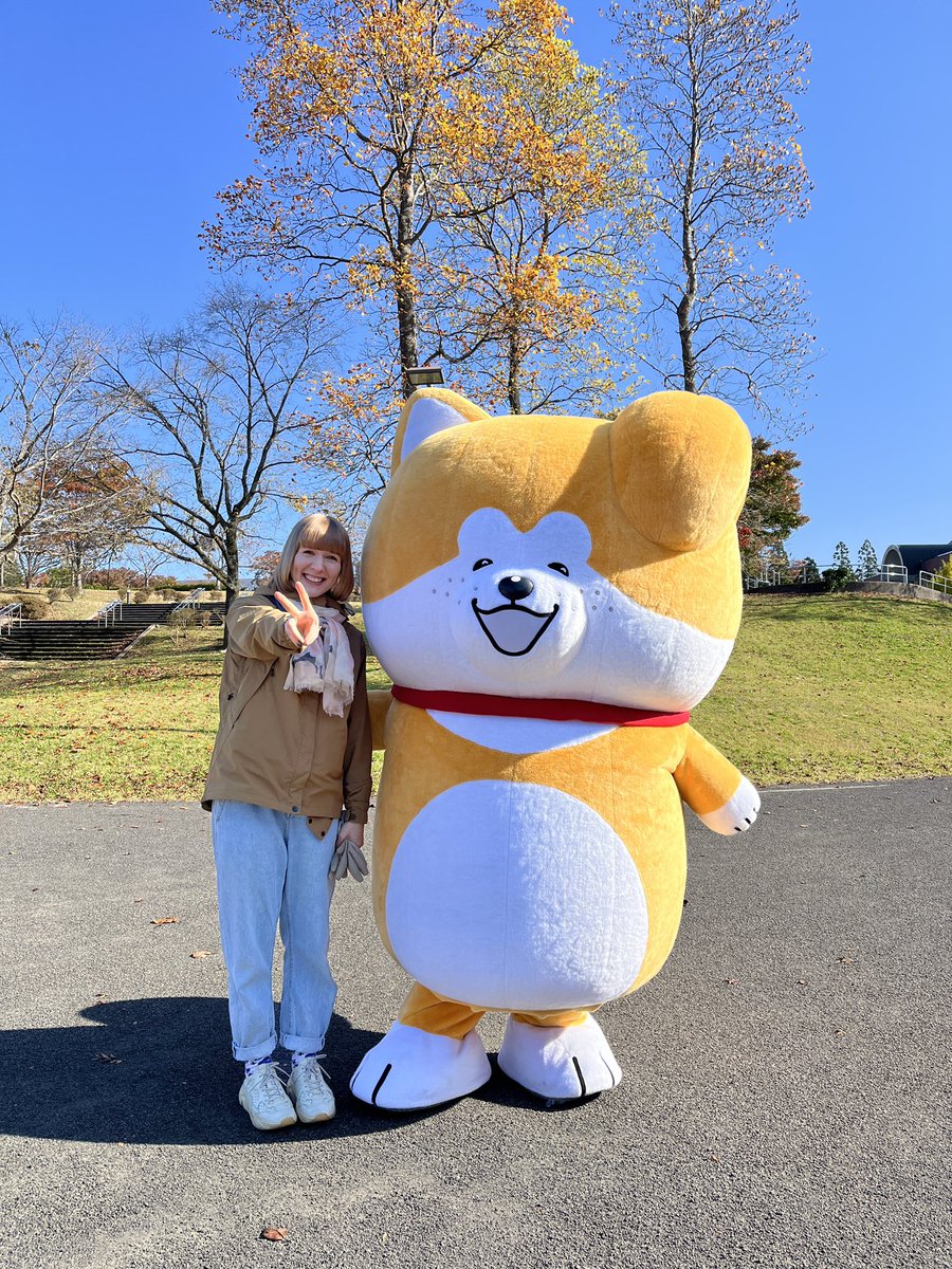 秋田で出会った新しい仲間！<a href="/taremimidaichan/">秋田犬たれみみだいちゃん</a> ふわふわで癒された〜モルックに北から南まで、日本の色んなところに連れて行っていただいて現地の方と出会えて、いつもの仲間と再会できて、すごくすごく貴重🌟 #第11回モルック日本大会in秋田