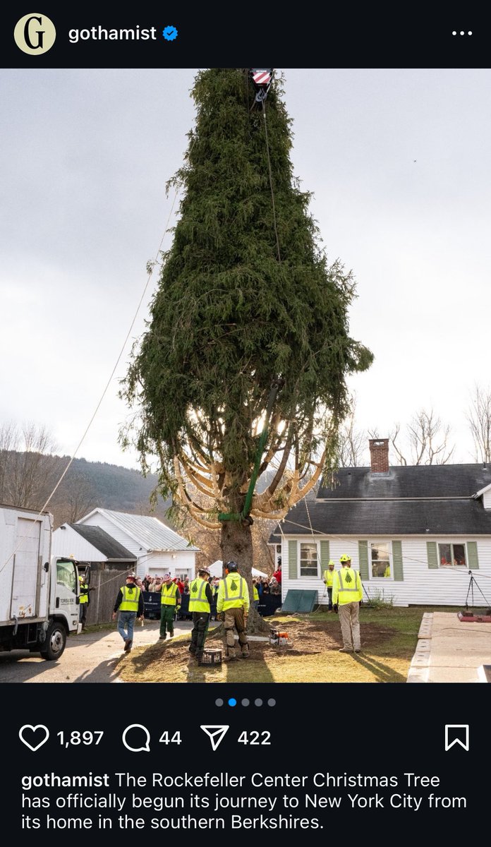 Catherine D. Tan tweet media