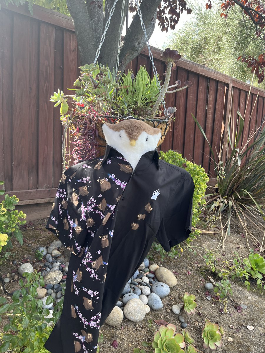 What happens when you try to put an owlbear into a shirt  #dnd #owlbearplush