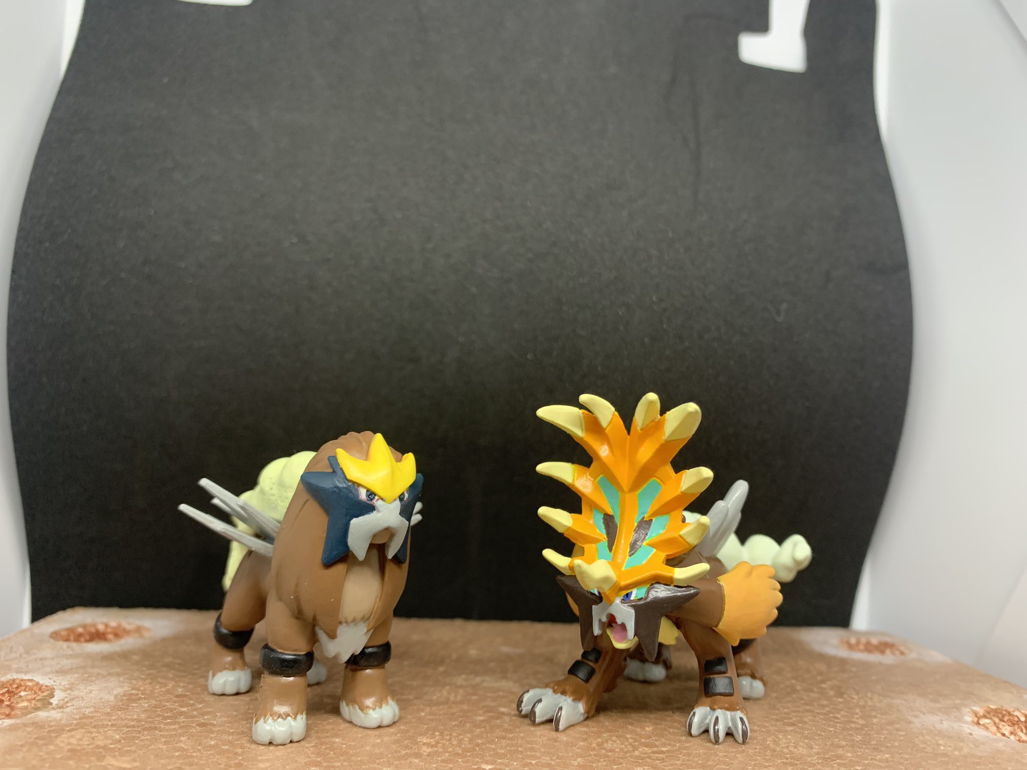 エンテイ スイクン ライコウ ウガツホムラ ウネルミナモ