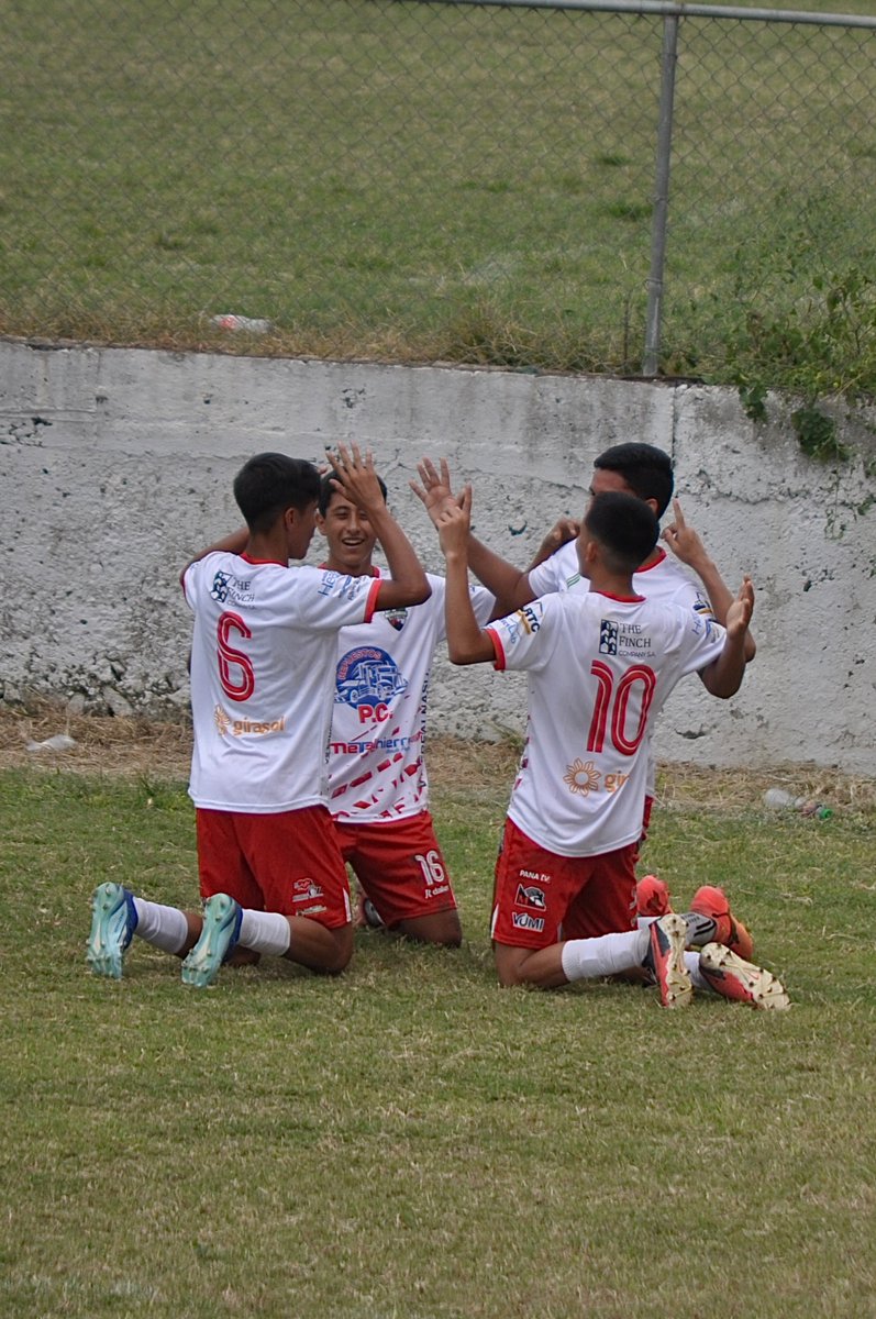 NewPorto_Fc's tweet photo. Postales de lo que fue nuestra victoria el día de hoy ⚽️🩵

Newporto Fc 4 🆚 Germud FC 0

VAMOOOOOS LOS PIBES 😎⚽️

#LosPibesDelNew🩵
#TorneoAsoManabiSub17🏆
#VamosNew⚽️ https://t.co/7u6fu2h8mG