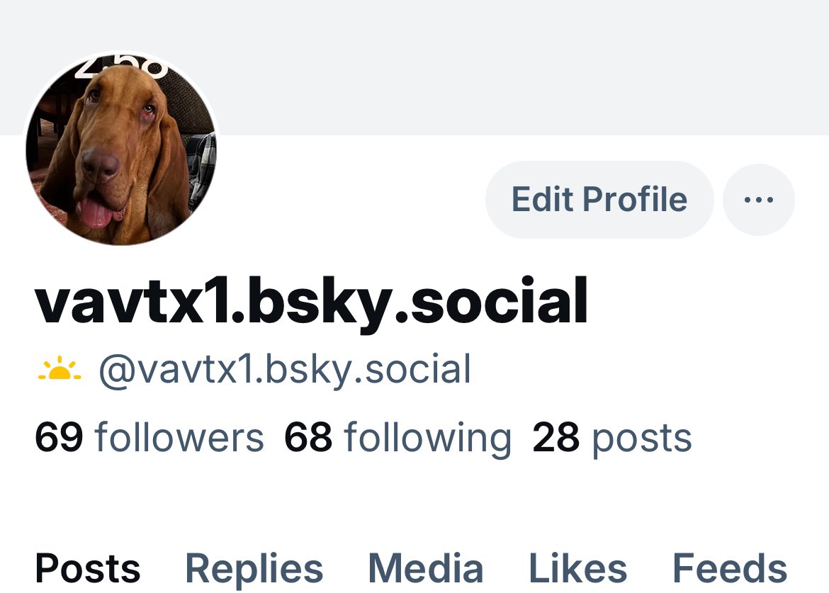 Tracey Vavrin tweet media