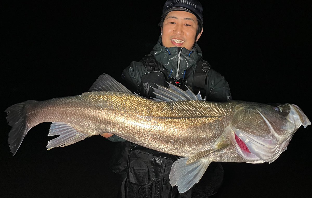 宮本大輔 tweet media