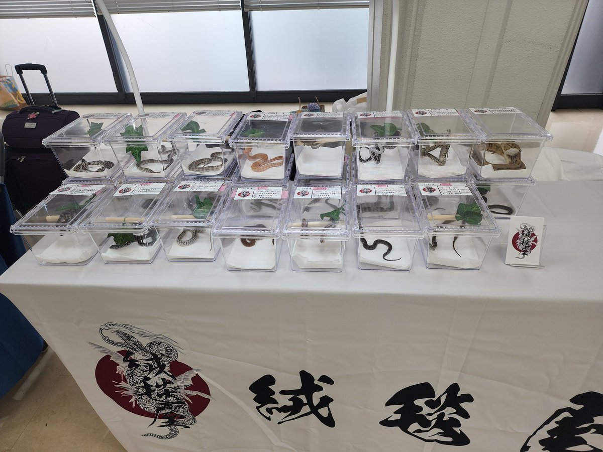 ぶりくら市無事終了しました！
主催者様及び関係者の皆様、そして当ブースに来て下さった方々、ありがとうございました🙇‍♀️
また皆様にお会い出来る日を楽しみにしております🥰
少しでも気になる事があればお気軽にお問い合わせ下さいね😊
また来年お会いしましょう！

#burikura