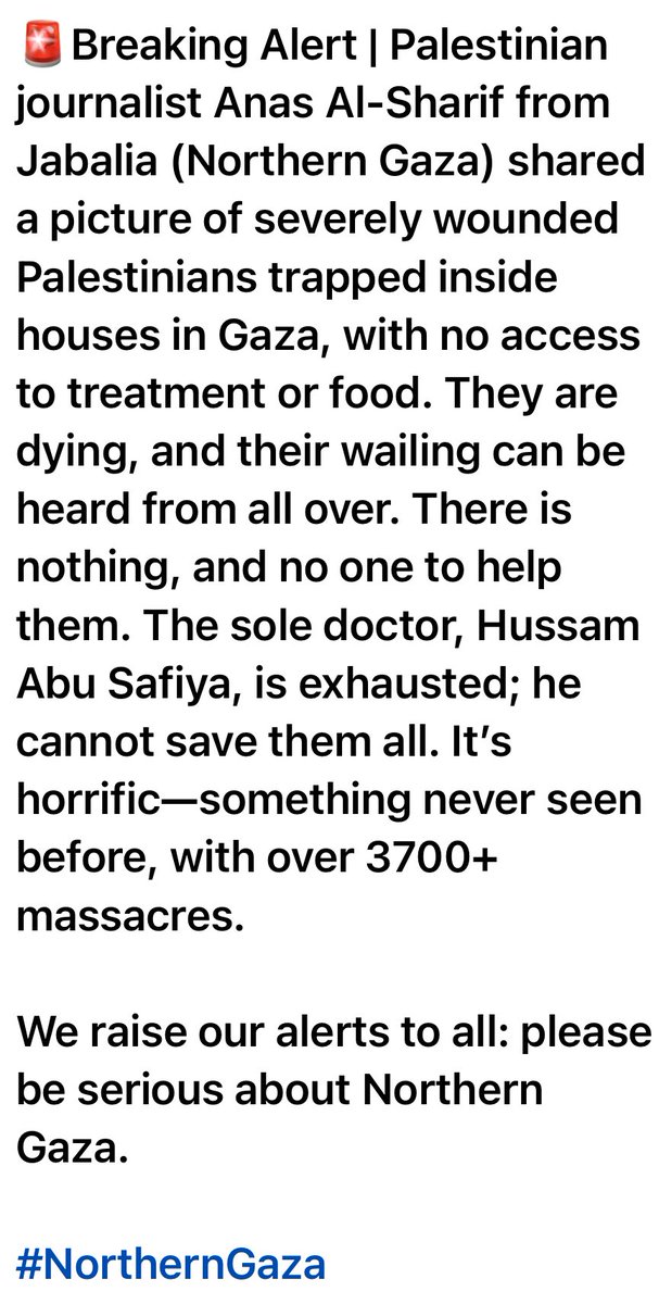 PalMedia (@palmediaorg) on Twitter photo 🚨‼️Horrendous News from Northern Gaza🚨 🚨‼️Horrendous News from Northern Gaza🚨