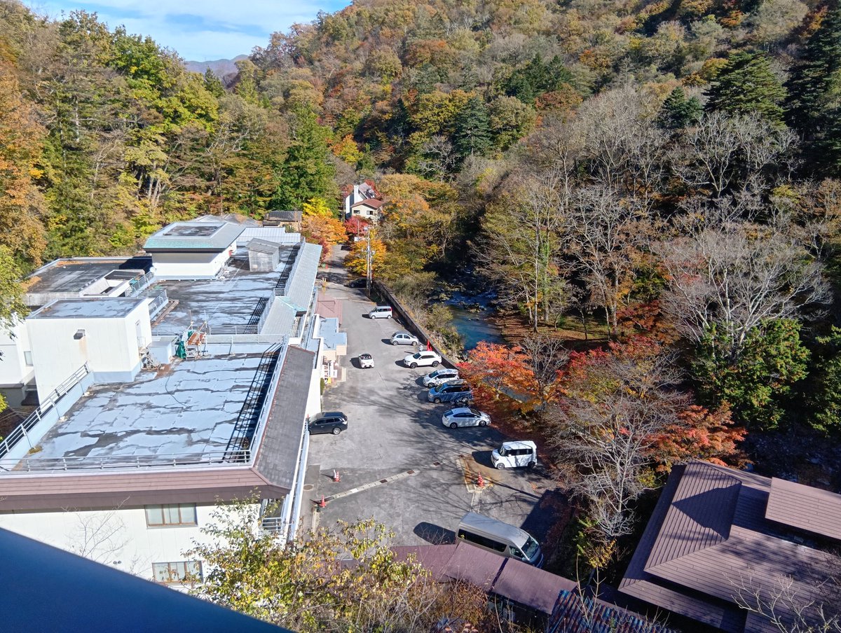 昨日はこちらの混浴に♨紅葉がキレイでした✨️
🐊さん達もいい人ばかりで楽しかったです。絡んでいただけた方々ありがとうございました！またいきます✨