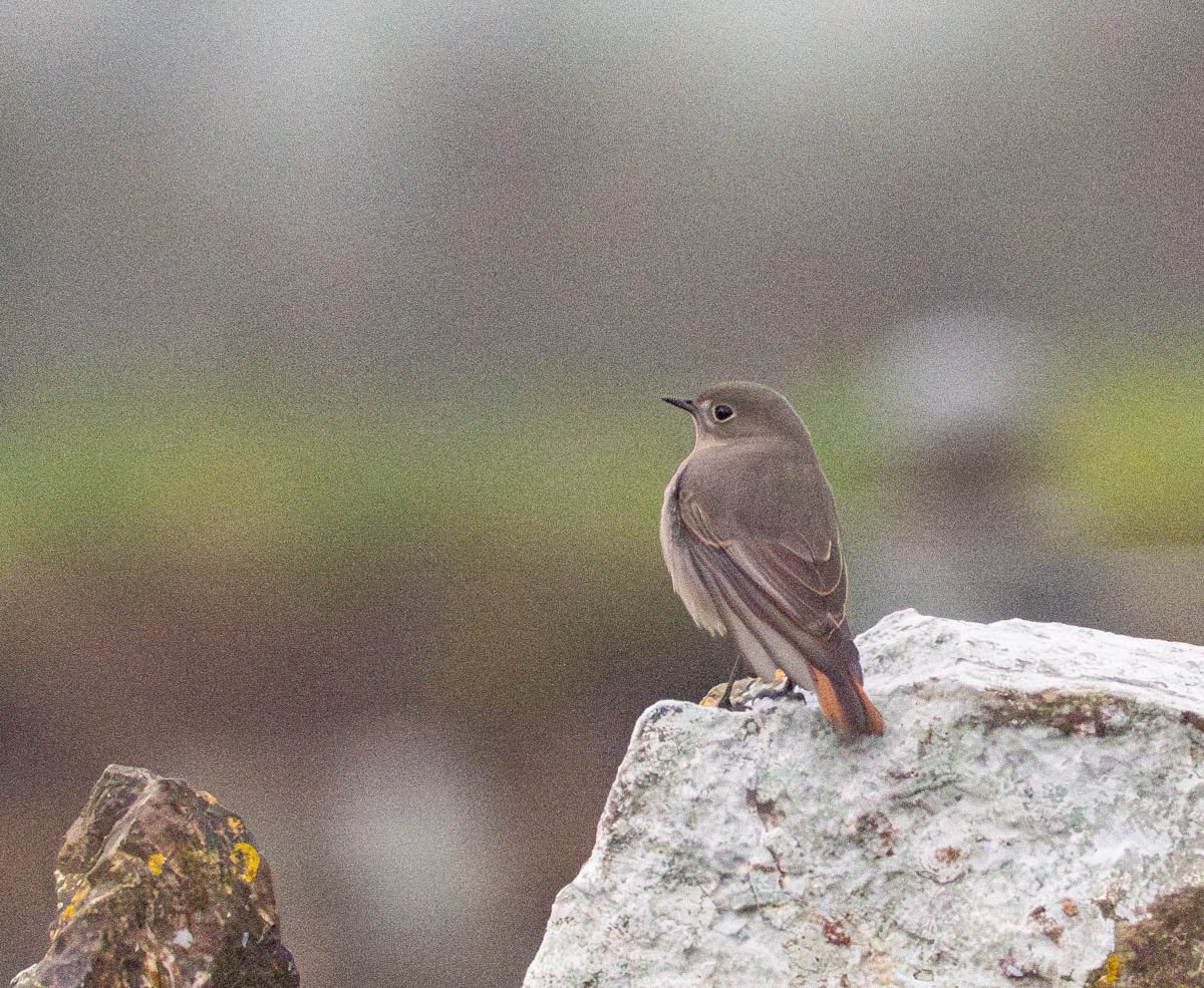 Mark Hipkin tweet media