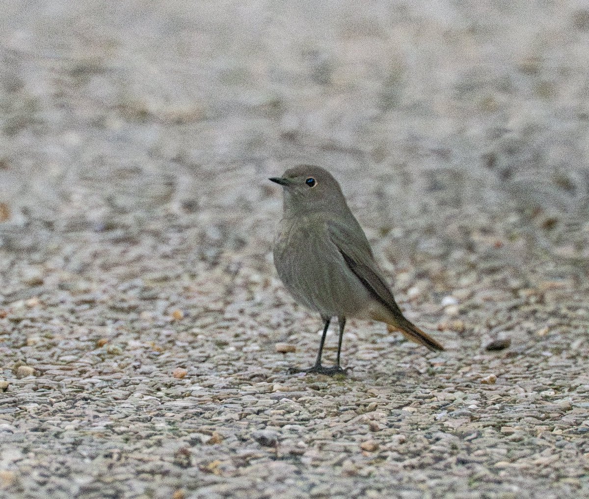 Mark Hipkin tweet media