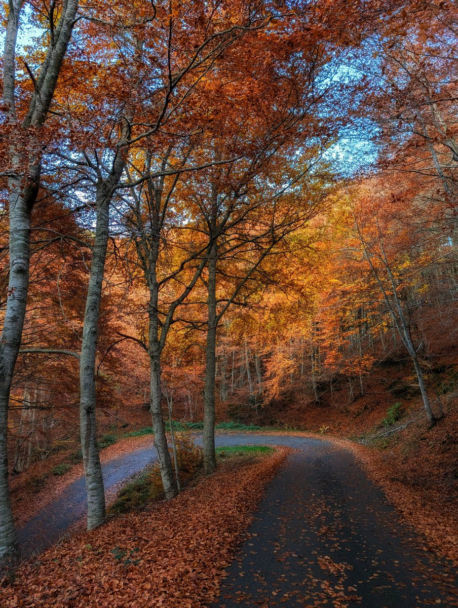 Amantes del Ciclismo tweet media