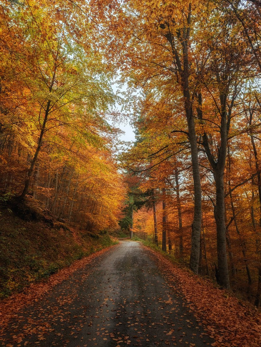 Amantes del Ciclismo tweet media