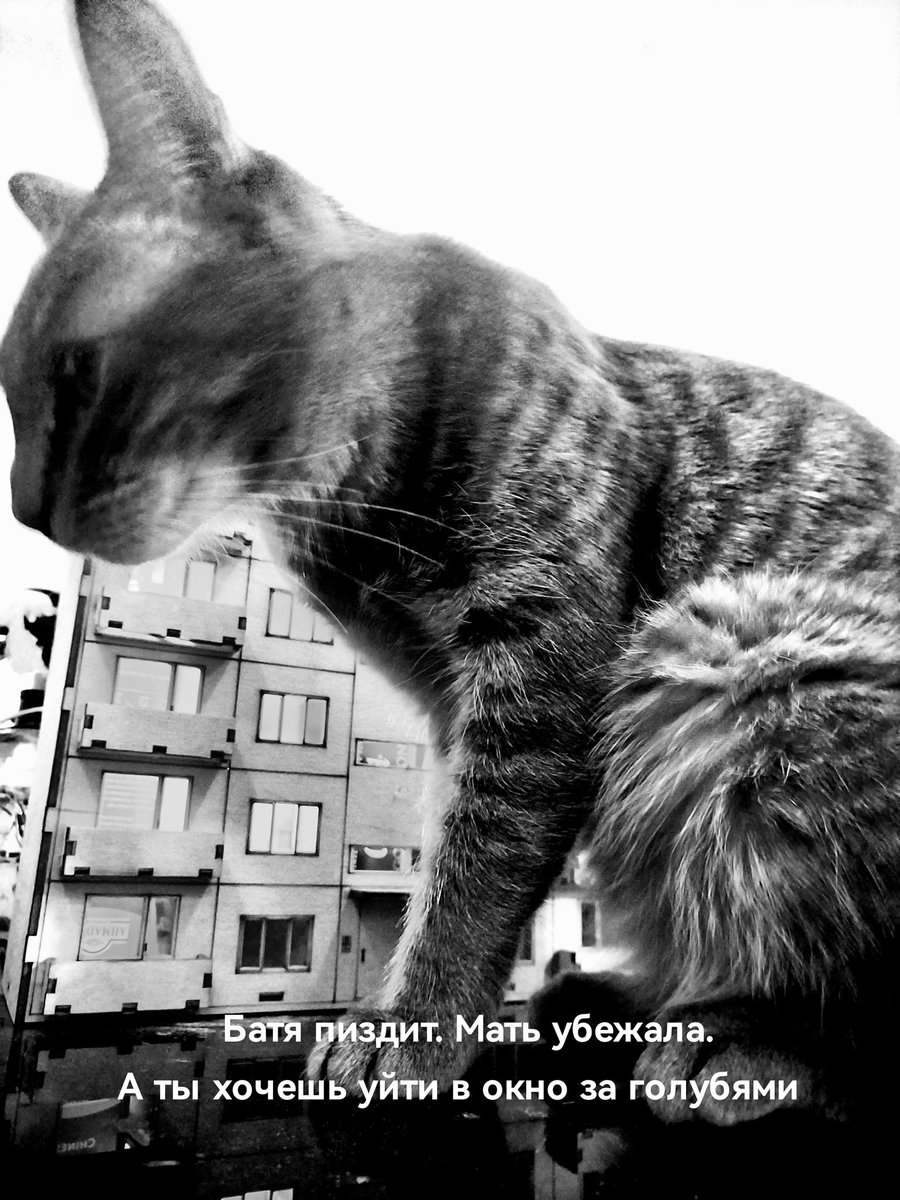 Пообсыпалась свадебная мимоза 
Все панельные драмы, как трафарет
И улыбка  лишь ссадина ниже носа
На фотографии семьи, которой нет