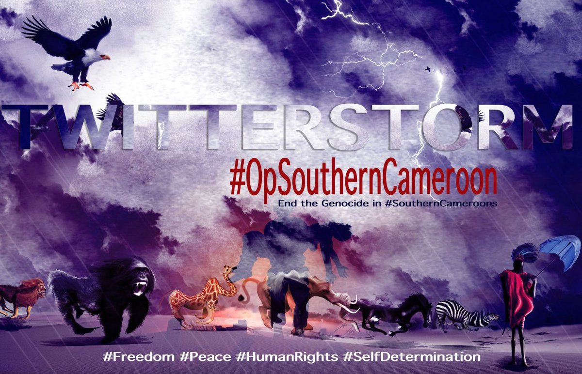 MenchumFalls's tweet image. Hello #SouthernCameroonians. Make posts about the Tweetstorm.

Invite your fellow Comrades to know more about the Tweetstorm. Everyone must be talking about the situation.

Beginning 8:00 PM Paris time on Monday, engage the Stop #GenocideInSouthernCameroons Tweetstorm.