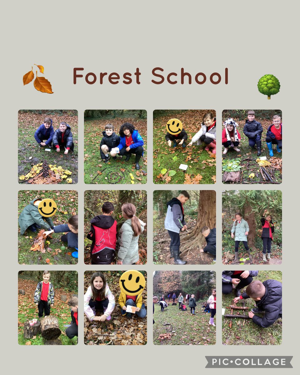 Our outdoor learning session this week with <a href="/RacMcCarthy/">Mrs R McCarthy</a> involved carrying out a range of Autumnal challenges using natural resources, incorporating Math, Art and DT skills. Arddechog pawb 🌳🍂🪵👍