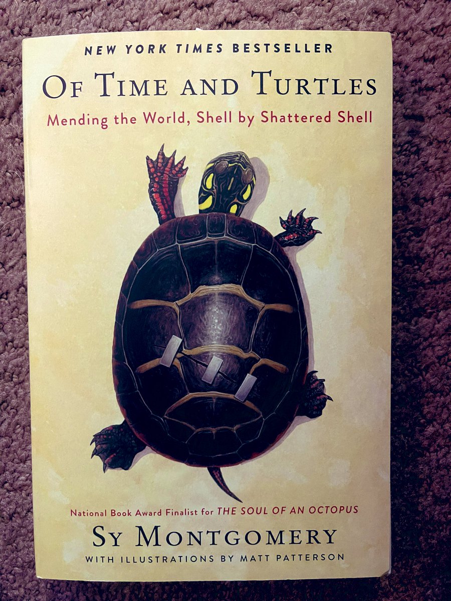 FrancosFiles's tweet photo. Went to new local family owned book store. Felt like this was perfect for me, especially in the current times https://t.co/QFyyZ1UhML