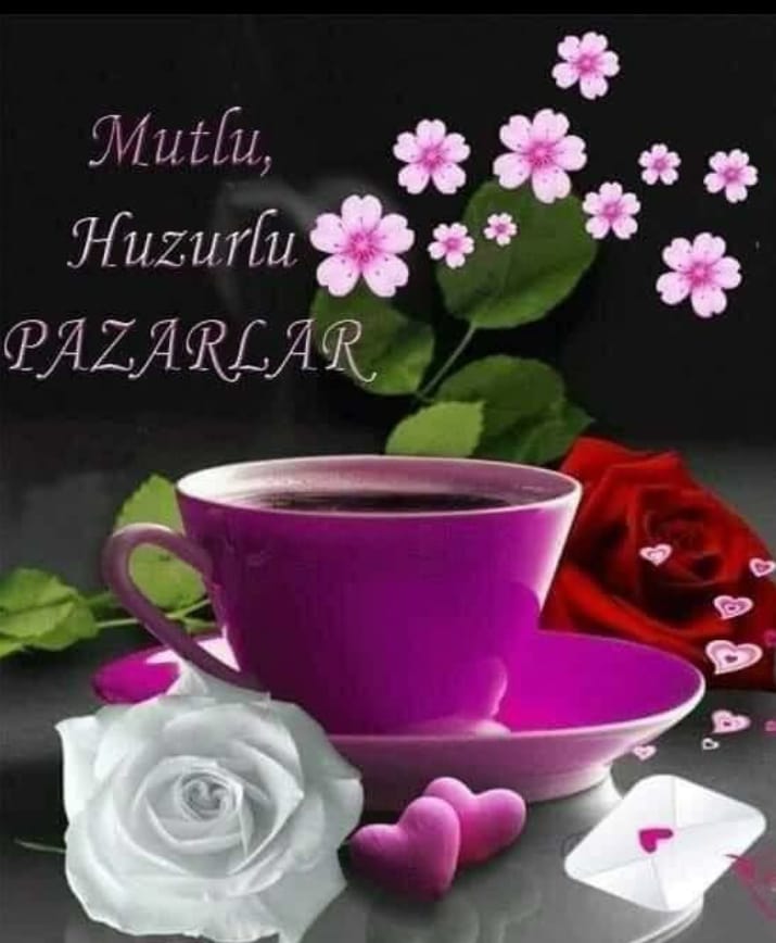 <a href="/deepti4780/">Deepti Mehra</a> <a href="/MadhubalaStefan/">Younger J Malmsteen ;)</a> <a href="/drashti10/">Drashti Dhami</a> <a href="/MilenaHilpert1/">Milena Hilpert</a> <a href="/aidamusic23/">Aida</a> <a href="/bobbyghosh1312/">𝕭𝕺𝕭𝕭𝖄</a> <a href="/VolschenkGerna/">Gerna Volschenk</a> <a href="/love_my_DD/">Leela ki maasi</a> <a href="/sairajabeen25/">Saira Jabeen</a> <a href="/SJ31124815/">S J</a> <a href="/FilizVicdan/">vicdan filiz</a> <a href="/haidry_shazia/">Shazia Haidry</a> Good night 💫 ✨ 🌟 💫 
<a href="/drashti10/">Drashti Dhami</a> 👑❣️💎🧿
