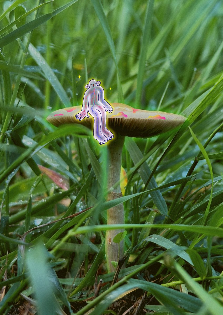 𝘸𝘩𝘪𝘴𝘱𝘦𝘳 𝘰𝘧 𝘵𝘩𝘦 𝘸𝘰𝘰𝘥 🌿 created in <a href="/BosqueGracias/">Bosque Gracias 🌳 Art Residency</a> Art Residency 🫶🏽 ✨ 🫶🏽
zora.co/collect/zora:0…