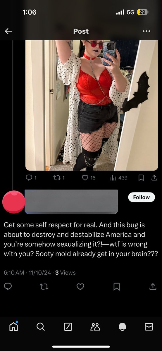 🦥 elaine tweet media