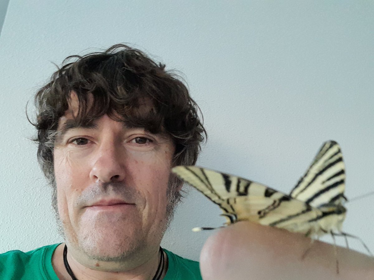 UlraArtebern's tweet photo. Ayer tuve un encuentro especial que se vino a casa conmigo pero tenía prisa y se fue volando https://t.co/Y0Jkv7zWxg