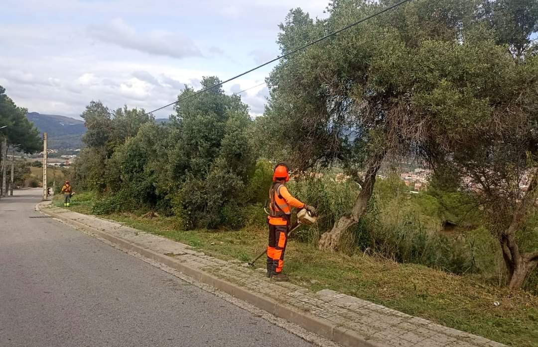 Jordi Ballart Pastor tweet media