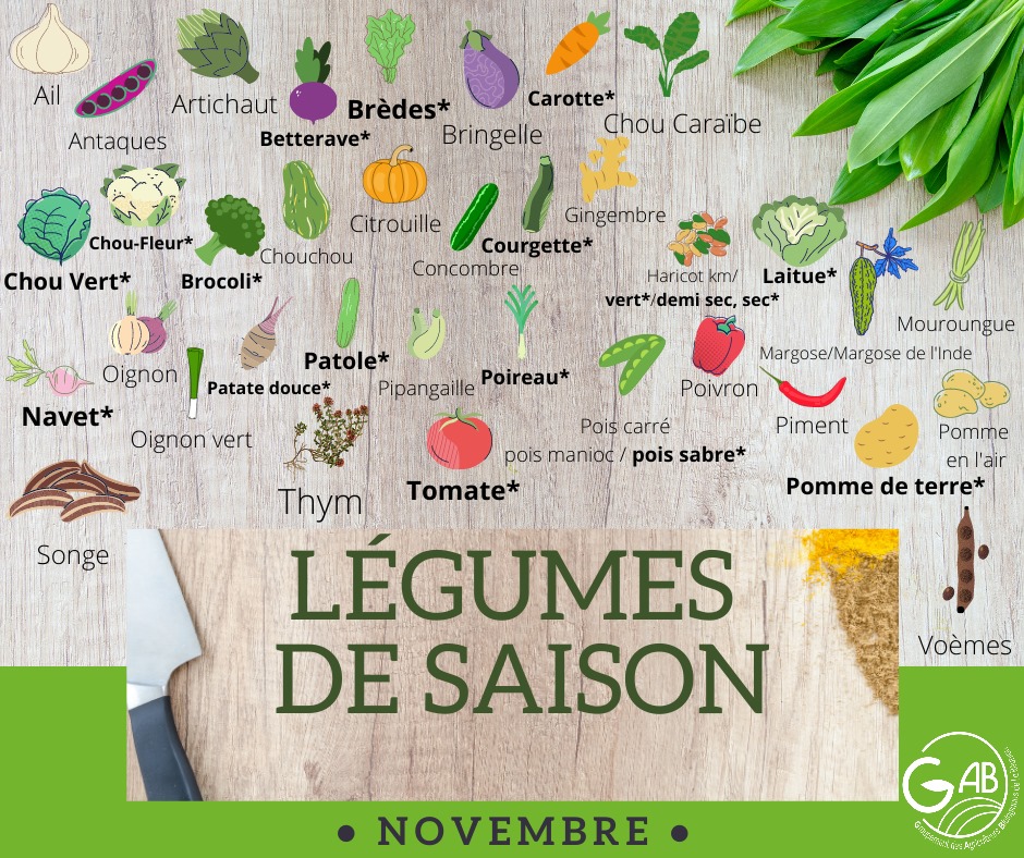 OasisReunionBio tweet media