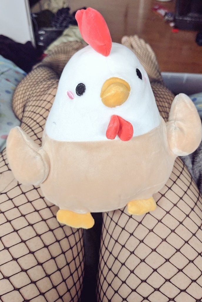 Mitshadow1011's tweet photo. If u see this chicken at howloween it is me
\o/
#HowloweenCanada #howloween #howloween2024 #fishnets #plushies #Femboy #furrycon #firstcon https://t.co/nQRCT5jeOk