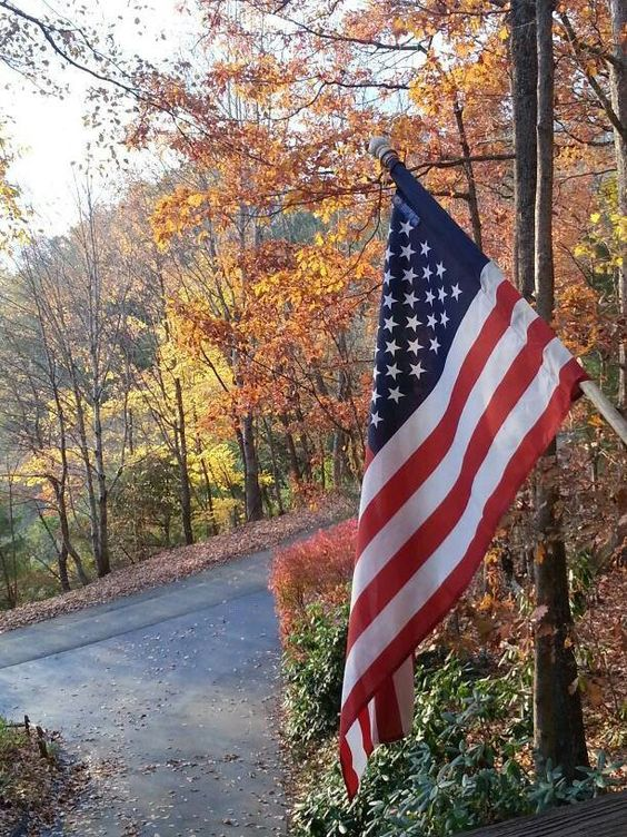 MythoAmerica's tweet image. wake up.