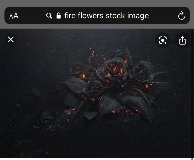 tervisscoot's tweet image. Future loves turning stock images into album covers