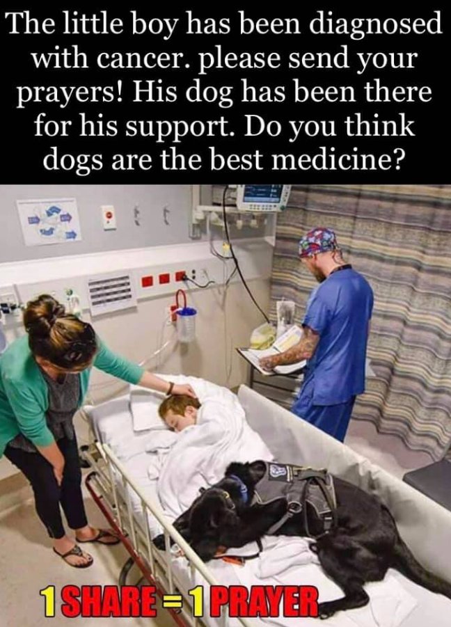 TweeetsOfDogs's tweet image. ❤️