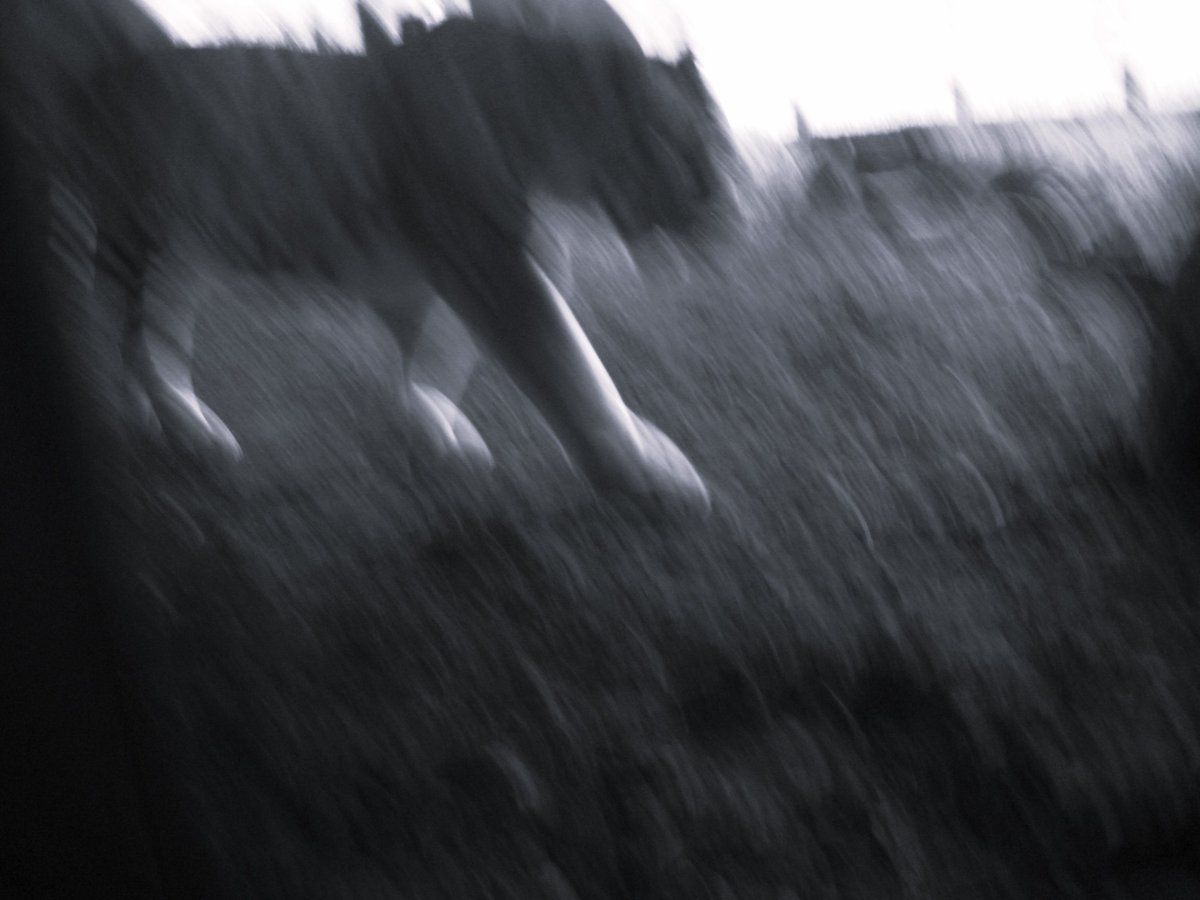 The Woolf (@thewoolfx) on Twitter photo Something new to howl about: the #Animal issue is live! Sink your teeth into words and art from 17 incredible contributors, including <a href="/writesfromla/">Mathieu Cailler</a> <a href="/sjaccaud/">Sabine Jaccaud</a> @robertokaji <a href="/seanbwparker/">Sean Bw Parker</a> @talktomememe <a href="/mikewilsonauth1/">Mike Wilson Writer</a>...
thewoolfx.com Something new to howl about: the #Animal issue is live! Sink your teeth into words and art from 17 incredible contributors, including <a href="/writesfromla/">Mathieu Cailler</a> <a href="/sjaccaud/">Sabine Jaccaud</a> @robertokaji <a href="/seanbwparker/">Sean Bw Parker</a> @talktomememe <a href="/mikewilsonauth1/">Mike Wilson Writer</a>...
thewoolfx.com